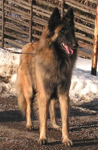 Breakpoint's Kleo of Frida